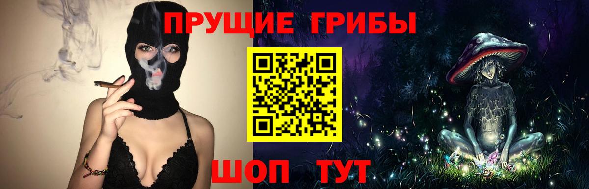 Киселёвск  Псилоцибиновые грибы Cubensis  Вход с VPN 